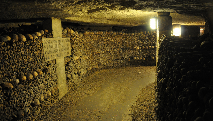 Paris full day tour highlights chauffeur private mercedes limousine van e class s class v class premium service drivre full day versailles 4