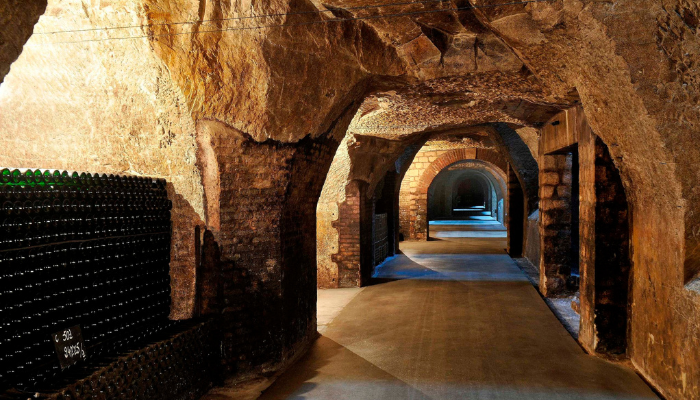 champagne region day tour reims epernay private chauffeur service rental limousine s class v class e class mercedes rental private tasting