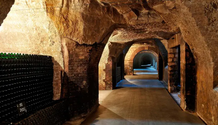champagne region day tour reims epernay private chauffeur service rental limousine s class v class e class mercedes rental private tasting